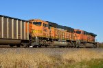 BNSF 9863 Roster shot.